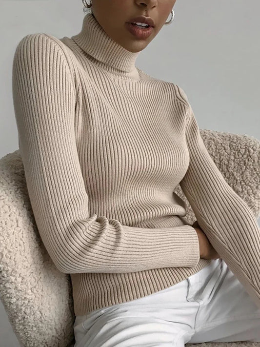 Turtleneck Sweater Sweaters